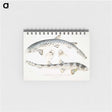 1-12_Indian-Zoology_memo
