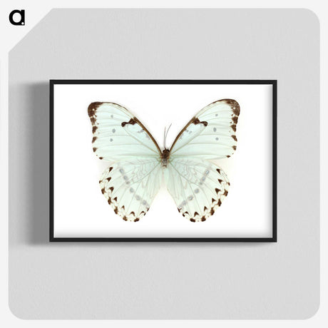 1-12_Insects-Unlocked-Project_blk-crop
