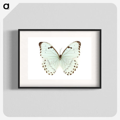 1-12_Insects-Unlocked-Project_blk