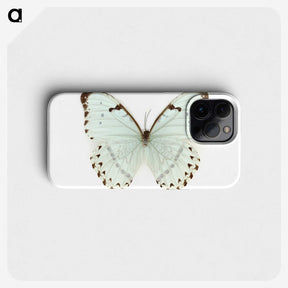 1-12_Insects-Unlocked-Project_phone