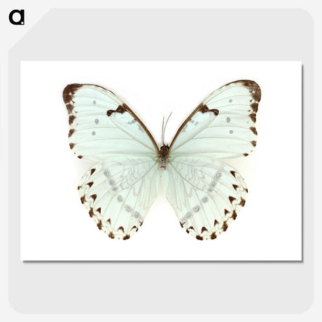 1-12_Insects-Unlocked-Project_picture-crop