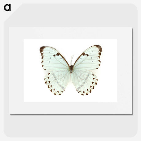 1-12_Insects-Unlocked-Project_picture