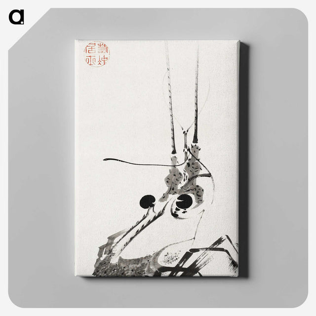 1-12_Ito-Jakuchu_canvas