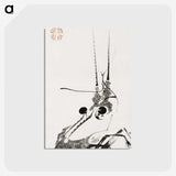 1-12_Ito-Jakuchu_postcard