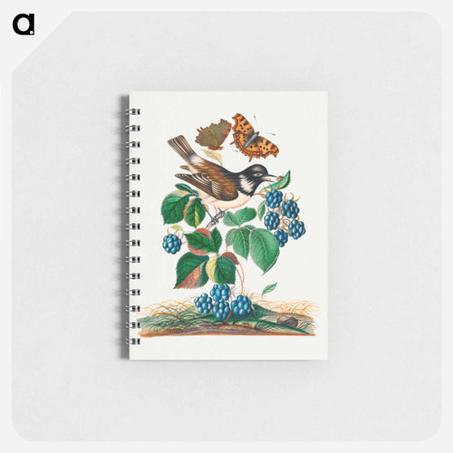 White-cheeked Starling, Bramble, and Insects
 - ジェームズ ボルトン Memo.