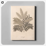 1-12_James-Heath_canvas