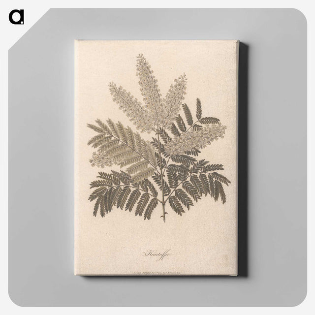 1-12_James-Heath_canvas