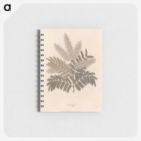 1-12_James-Heath_memo