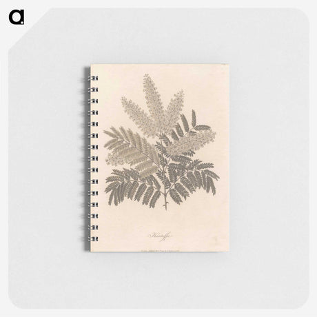 1-12_James-Heath_memo