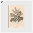 1-12_James-Heath_postcard