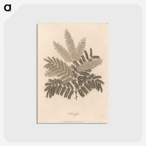 1-12_James-Heath_postcard