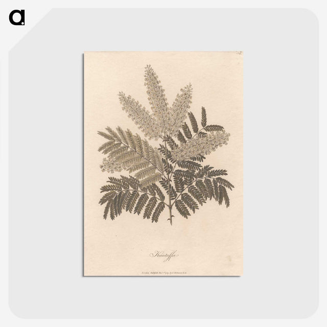 1-12_James-Heath_postcard