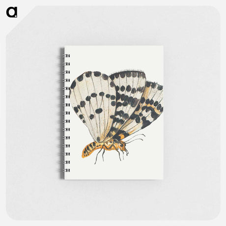 アートメモ帳-Butterfly from Insects and Fruits
 - ヤン ファン ケッセル Memo.