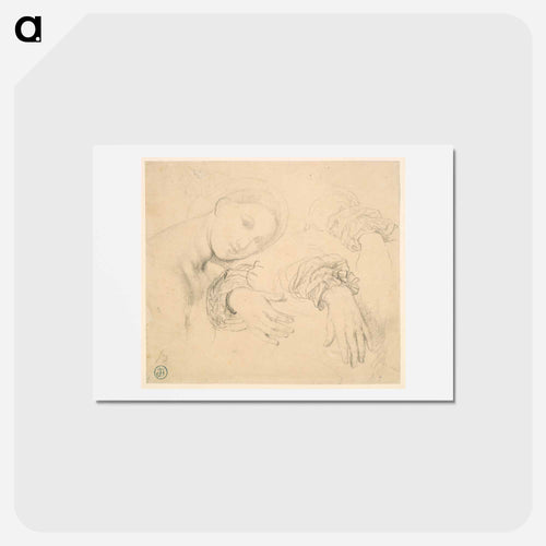 Sheet of Studies with the Head of the Fornarina and Hands of Madame de Senonnes
 - ジャン オーギュスト ドミニク アングル Postcard.