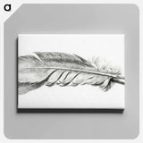 アートパネル-Feather - ジャン ベルナール Canvas.