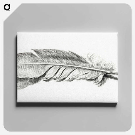 アートパネル-Feather - ジャン ベルナール Canvas.