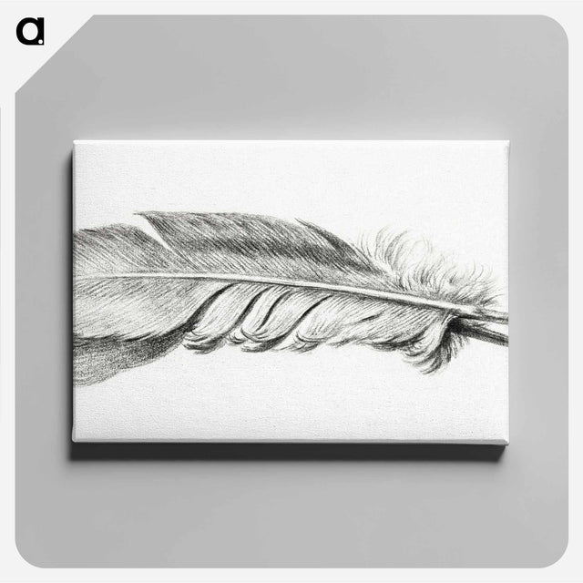 アートパネル-Feather - ジャン ベルナール Canvas.