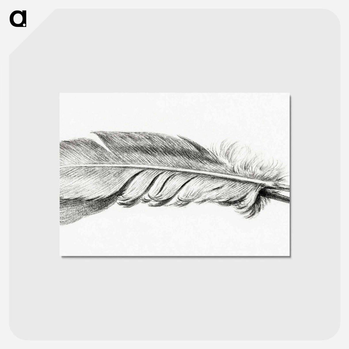 アートポストカード-Feather - ジャン ベルナール Postcard.