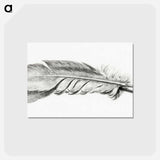 アートポストカード-Feather - ジャン ベルナール Postcard.