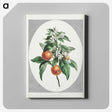 1-12_John-Edwards_canvas