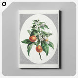 1-12_John-Edwards_canvas