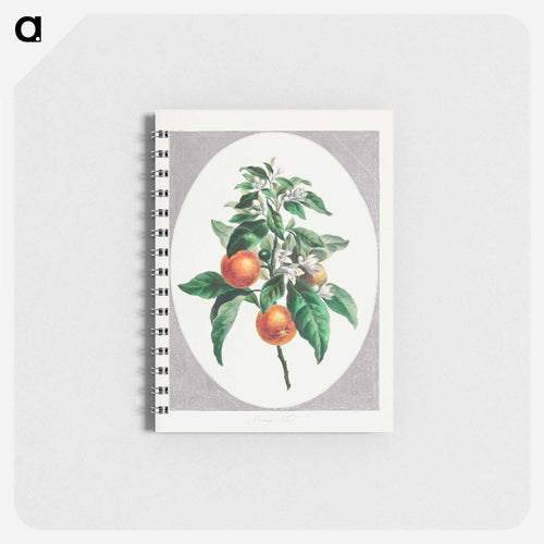 Orange Tree
 - ジョン エドワーズ Memo.