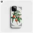 1-12_John-Edwards_phone