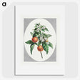 1-12_John-Edwards_picture