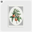 1-12_John-Edwards_postcard