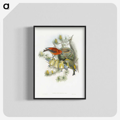 1-12_John-Gould_blk-crop