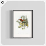 1-12_John-Gould_blk