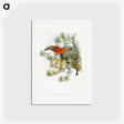 アートポストカード-Coppery-vented Puff-Leg
 - ジョン グールド Postcard.