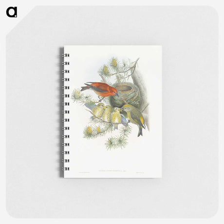 1-12_John-Gould_memo