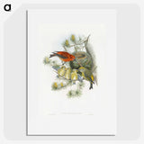 1-12_John-Gould_picture
