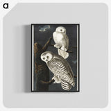 1-12_John-James-Audubon_blk-crop