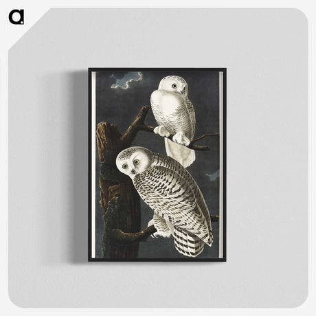 1-12_John-James-Audubon_blk-crop