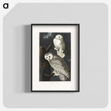 1-12_John-James-Audubon_blk