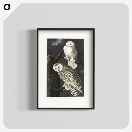 1-12_John-James-Audubon_blk