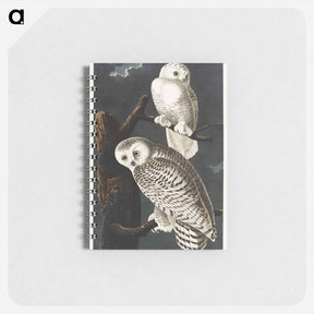 アートメモ帳-Snowy Owl
 - ジョン ジェームス オーデュボン Memo.