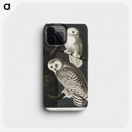 1-12_John-James-Audubon_phone