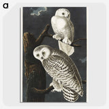 1-12_John-James-Audubon_picture-crop