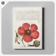 1-12_Joris-Hoefnagel_canvas