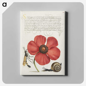 1-12_Joris-Hoefnagel_canvas