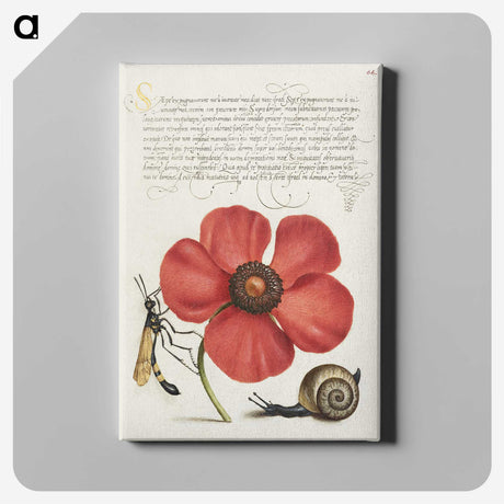 1-12_Joris-Hoefnagel_canvas