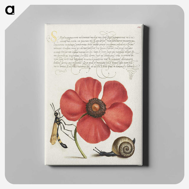 1-12_Joris-Hoefnagel_canvas