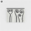 1-12_Karl-Blossfeldt_memo