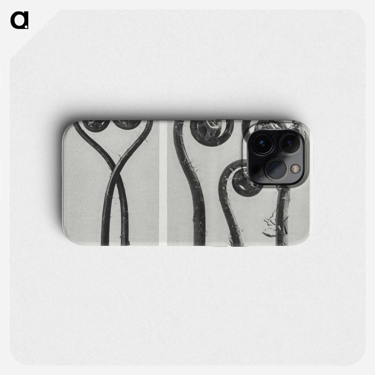 1-12_Karl-Blossfeldt_phone