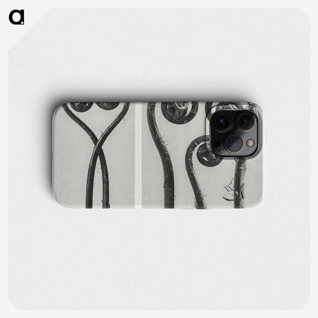1-12_Karl-Blossfeldt_phone