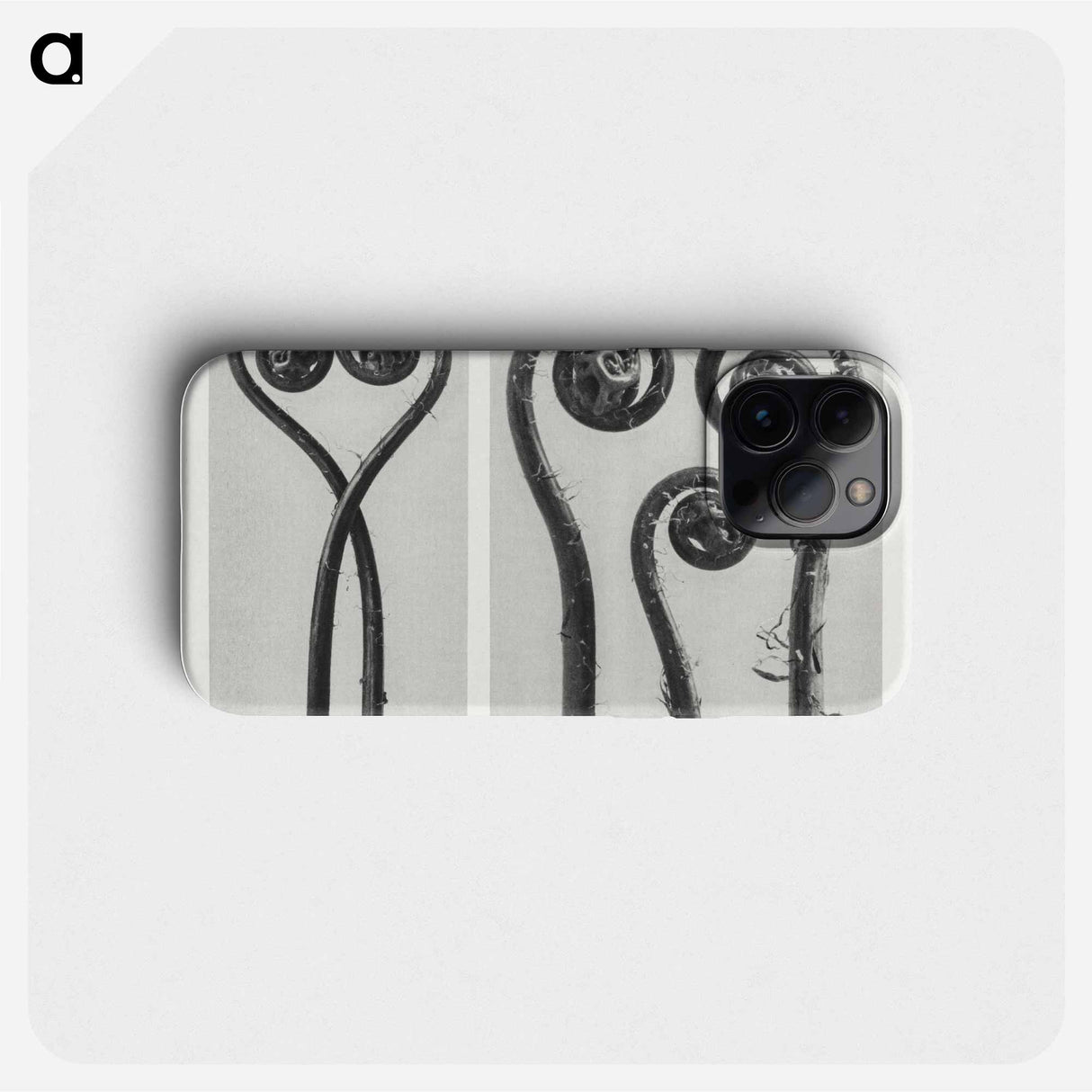 Adiantum pedatum - Karl Blossfeldt Phone Case.