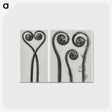 1-12_Karl-Blossfeldt_postcard